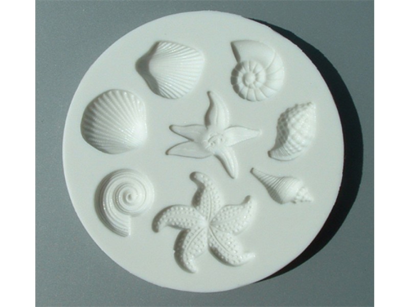Shells and Starfish AM0035