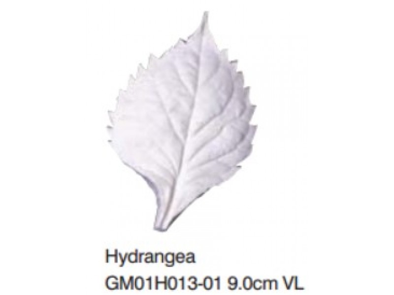 繡球花葉-Hydrangea VL