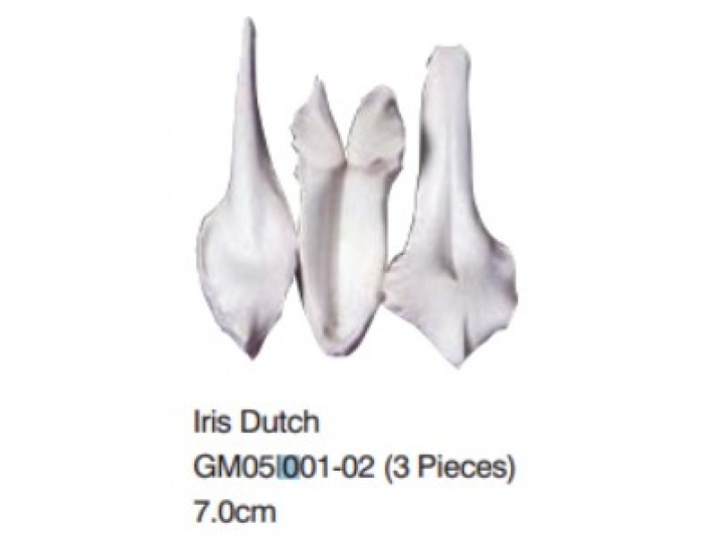 鳶尾花-Iris Dutch (3Pieces)