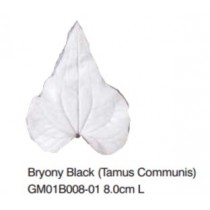 蔓草葉-Bryony- Black(Tammis) L