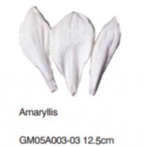 孤挺花-Amaryllis (Extra Wide)