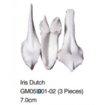 鳶尾花-Iris Dutch (3Pieces)